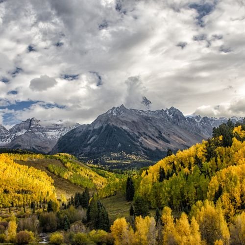 listing-details-carousel